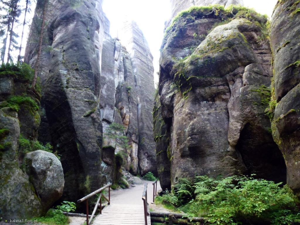 Agroturystyka Zielony Ogrod Scinawka Srednia Exterior photo
